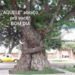 próximo